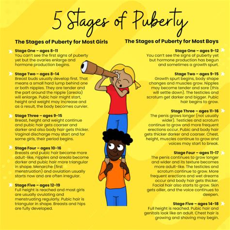 teens titties|Stages of Puberty Explained in Pictures